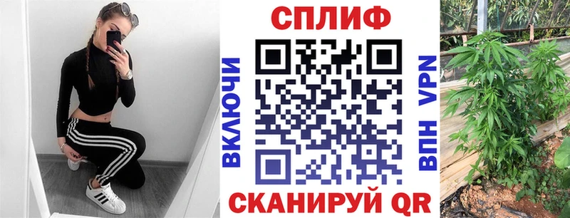 Где продают наркотики Мещовск ссылка на мегу ТОР  Кокаин 
