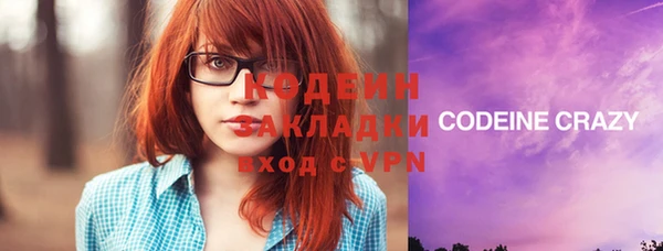 спиды Арсеньев