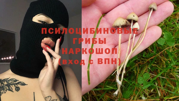 спиды Арсеньев
