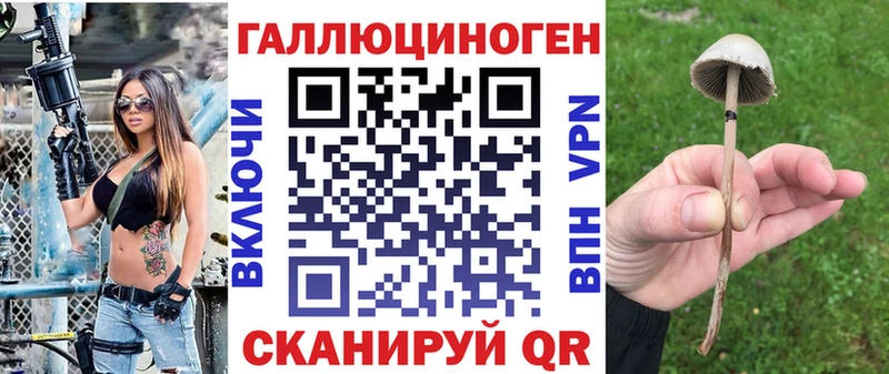 Псилоцибиновые грибы мицелий  MEGA онион  Мещовск 